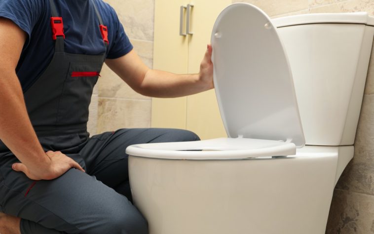 flotteur wc