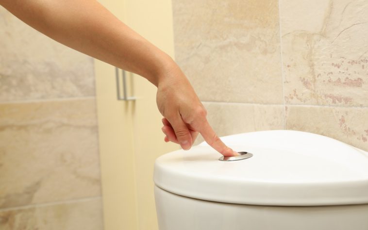 mécanisme WC